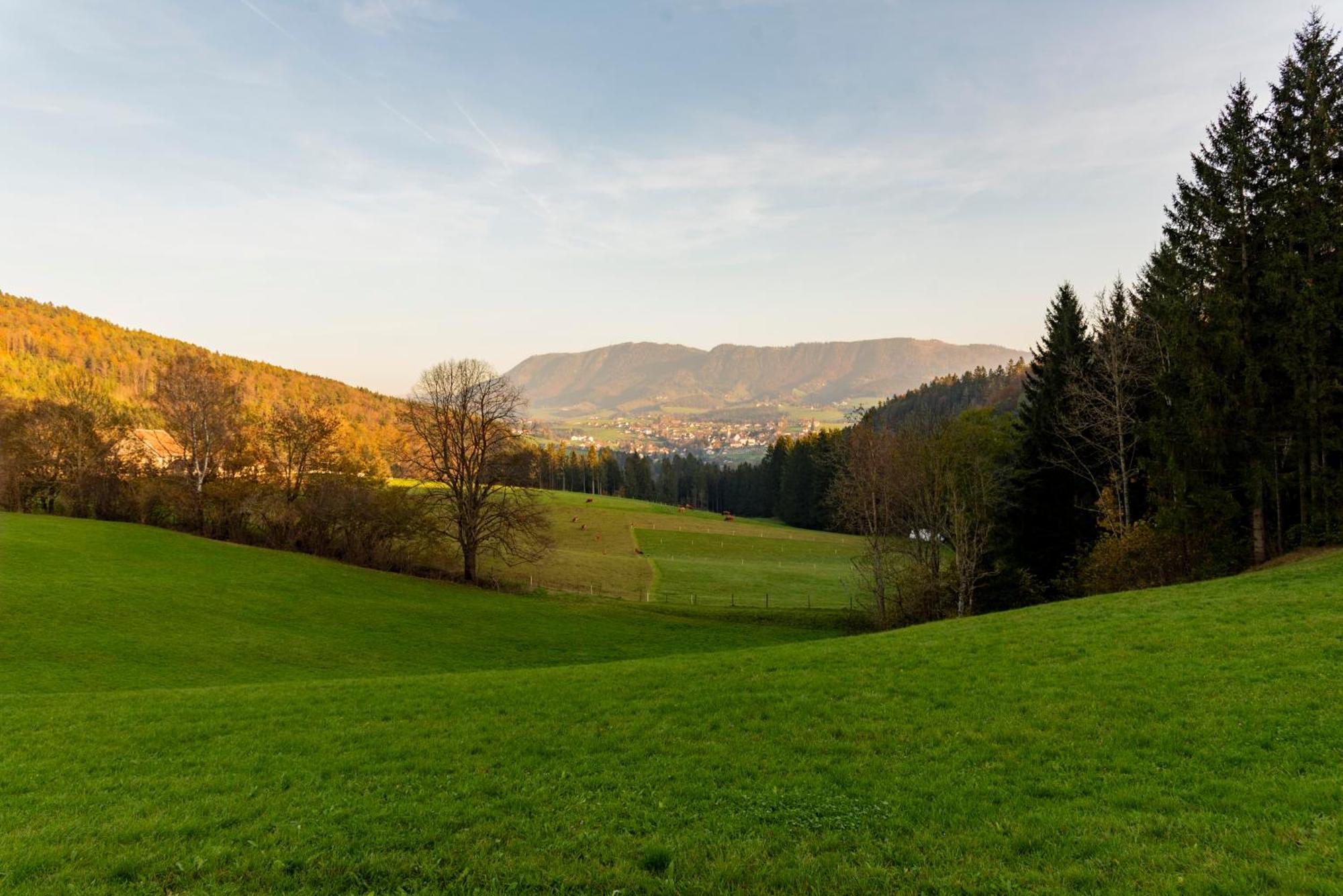 Ferienwohnung Am Labyrinth Semriach ภายนอก รูปภาพ